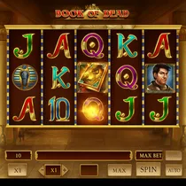 RoboCat - Book of Dead Slot Game - Casino Latvia